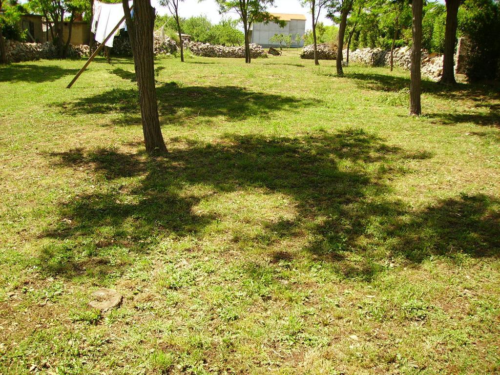 Apartments Anka Privlaka (Zadar) Exterior foto